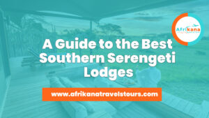Southern Serengeti Lodges