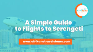 Flights to Serengeti