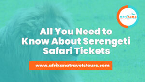 Serengeti Safari Tickets