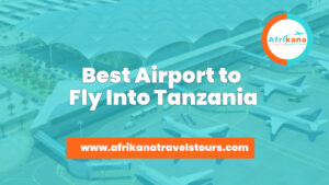 best airport to fly into Tanzania