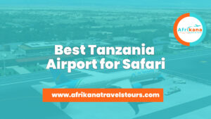 Tanzania Airport for Safari