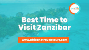 Best Time to Visit Zanzibar