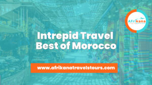 Intrepid Travel Best of Morocco