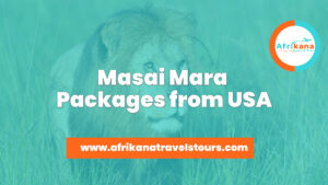 Masai Mara packages from USA