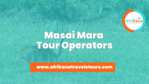 Masai Mara Tour Operators
