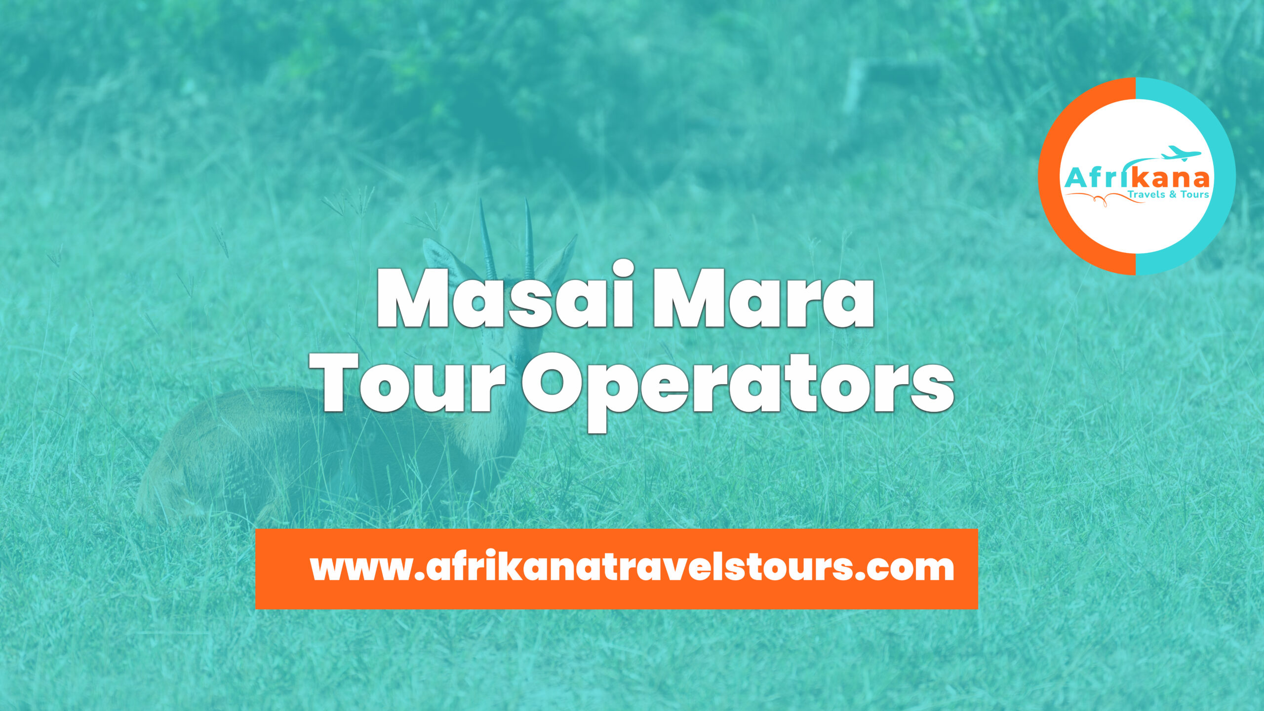 Masai Mara Tour Operators