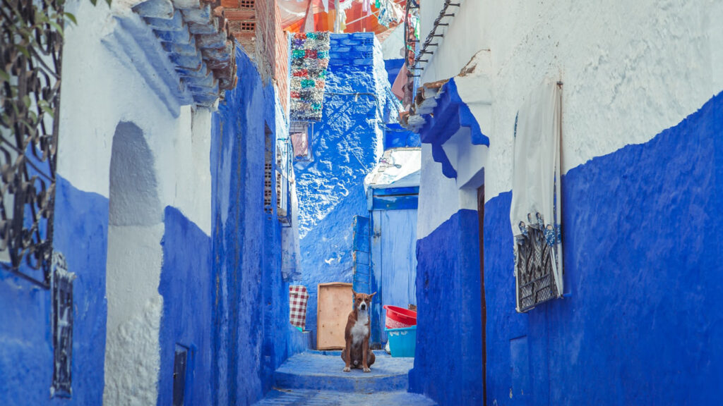 Morocco colorful tours