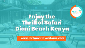 Safari Diani Beach Kenya