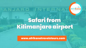 Safari from Kilimanjaro airport