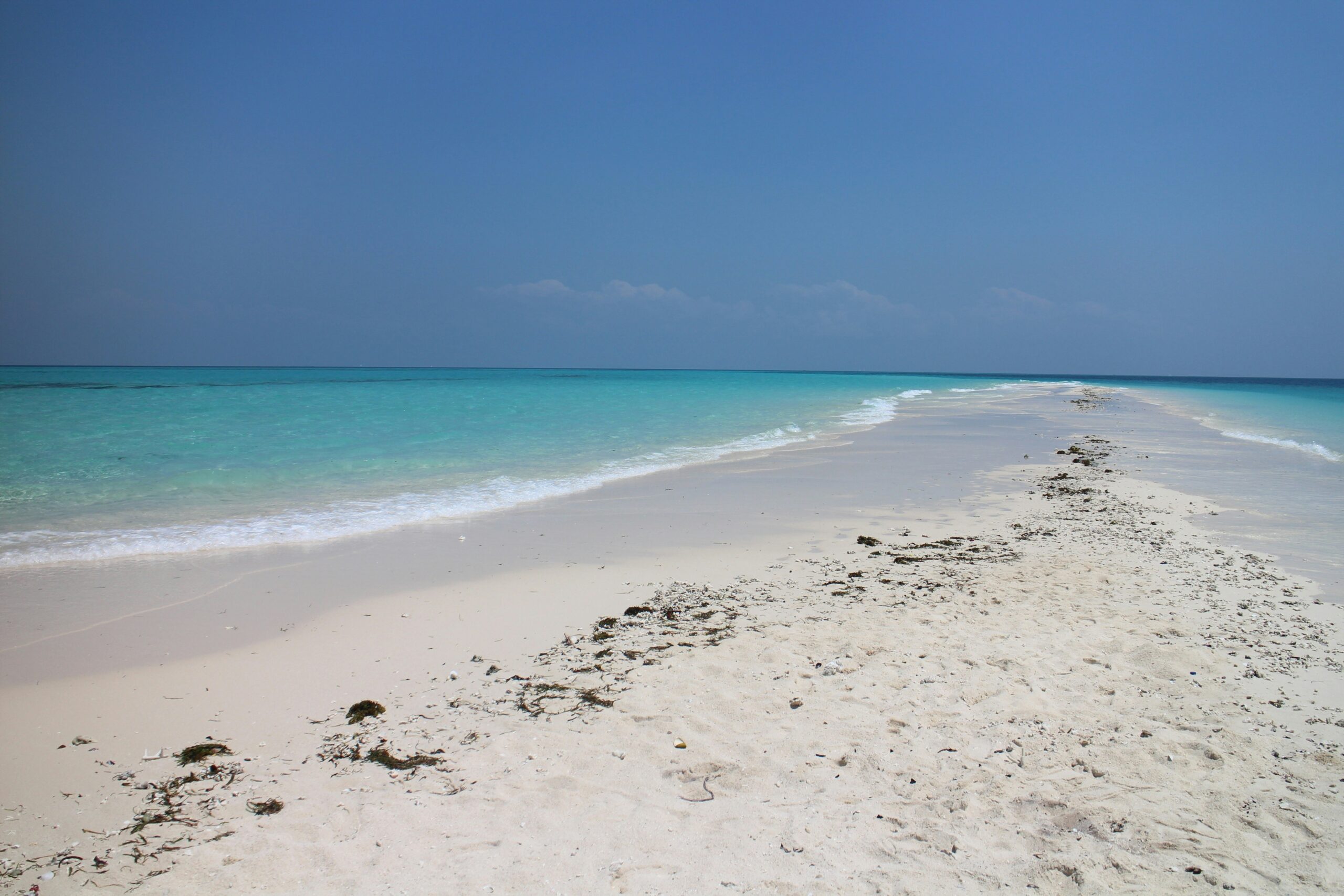 Zanzibar Vacation