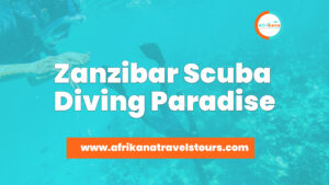 Zanzibar Scuba Diving