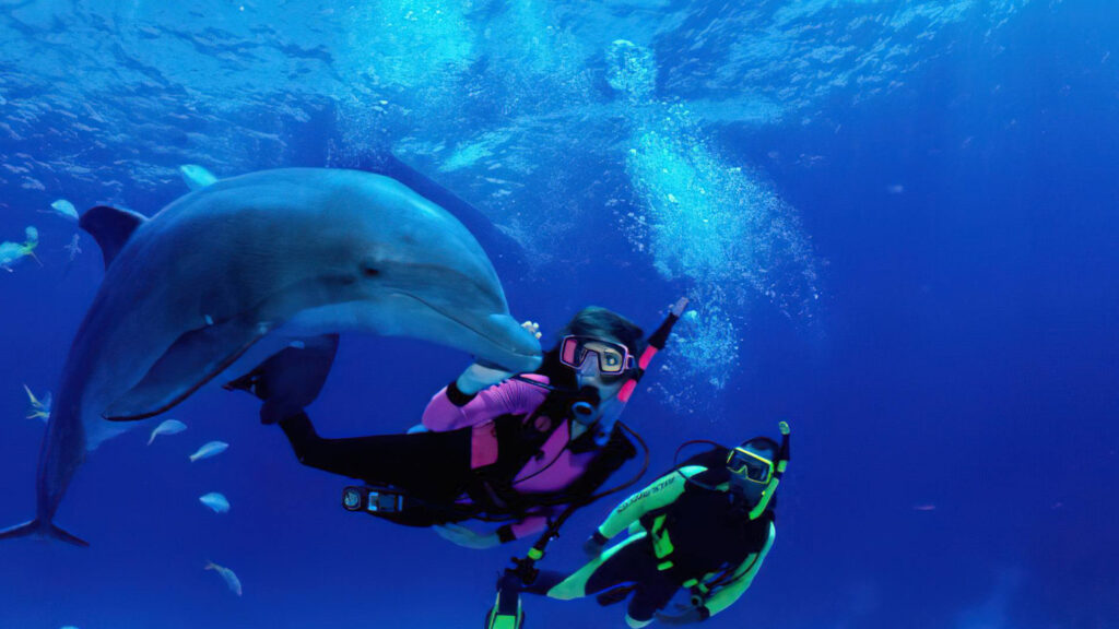 Zanzibar Scuba Diving