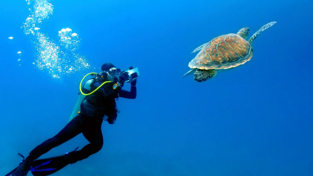 Zanzibar Scuba Diving