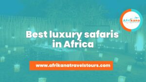 Best luxury safaris in Africa