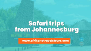 safari trips from Johannesburg