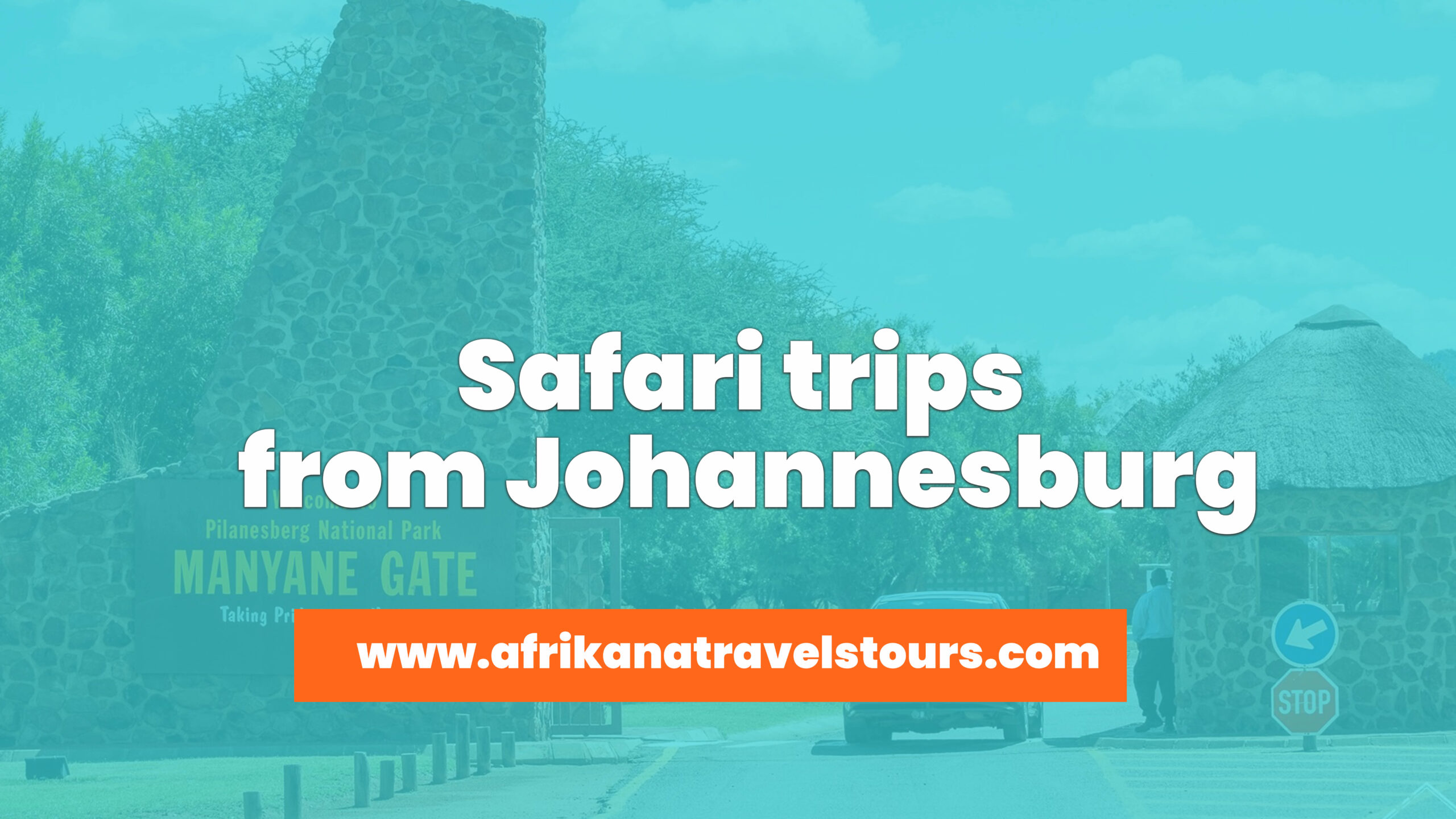 safari trips from Johannesburg